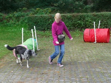 Therapiehunde Exner