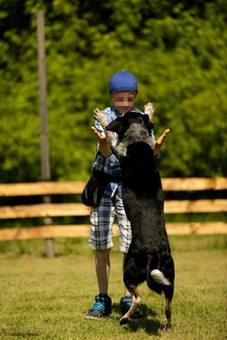 Therapiehunde Exner